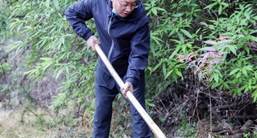 爱绿植绿护绿 建设美丽家园——地勘院积极参加植树履责劳动