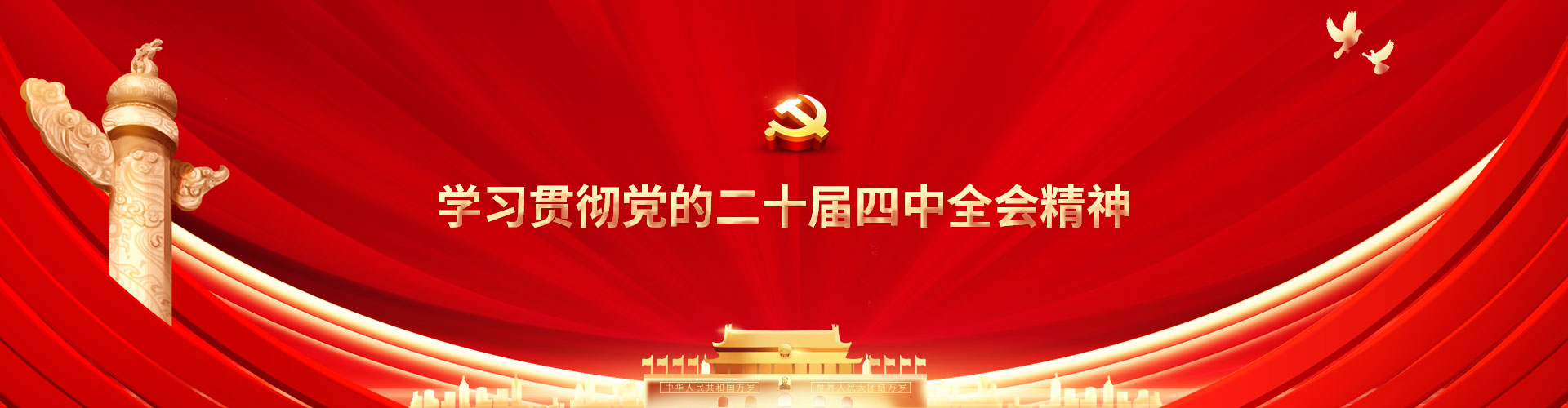 二十届四中全会精神